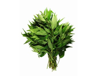 FEUILLE DE RAO RAM
