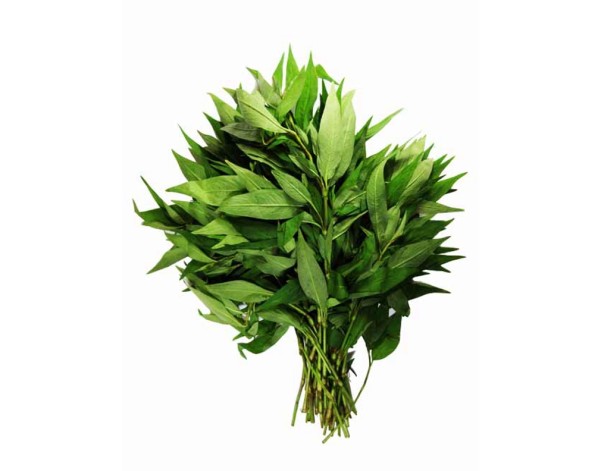 FEUILLE DE RAO RAM