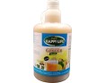 JUS DE GINGEMBRE
