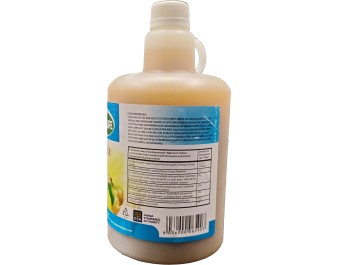 JUS DE GINGEMBRE