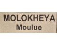 MOLOKHEYA MOULU