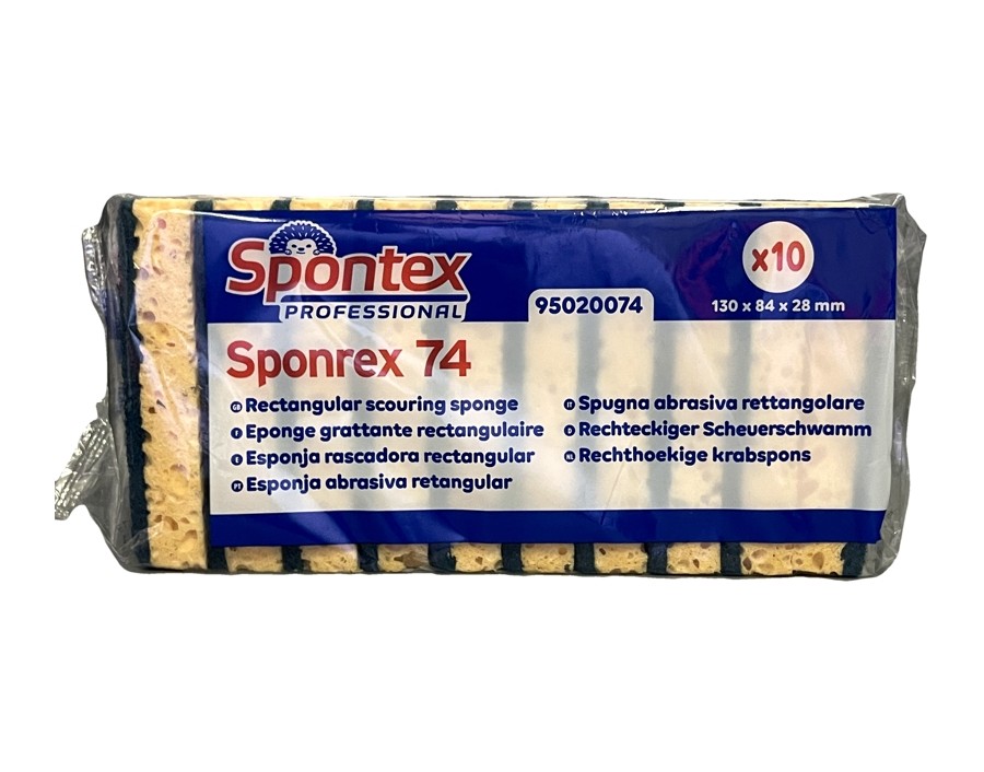 EPONGE 13 X 8.4 CM 10 P.