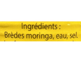 BREDE MORINGA