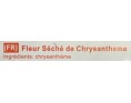 FLEUR DE CHRYSENTHEME SECHEE