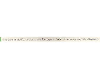 DENTIFRICE