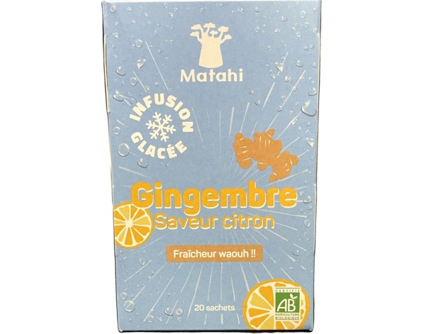 INFUSION GLACEE GINGEMBRE CITRON BIO 20 P.