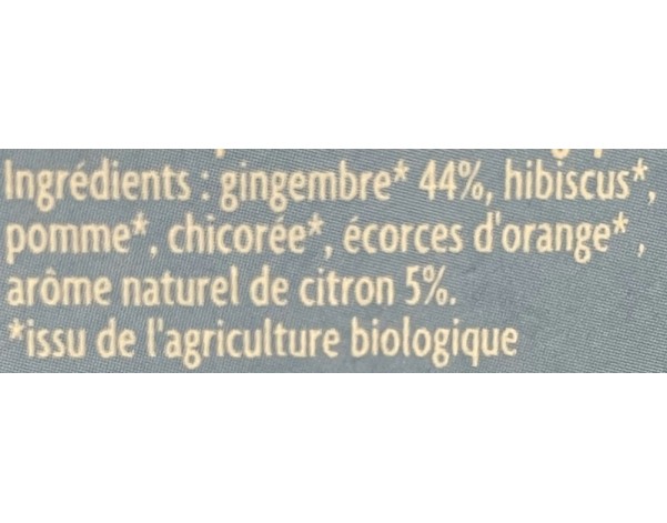 INFUSION GLACEE GINGEMBRE CITRON BIO 20 P.