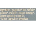 INFUSION GLACEE GINGEMBRE CITRON BIO 20 P.