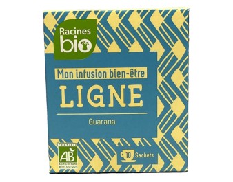 TISANE GUARANA ET ANANAS 10 P. BIO