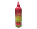 SPRAY LISSANT HYDRATANT OLIVE
