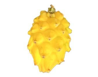 FRUIT DU DRAGON JAUNE  (A LA PESEE)