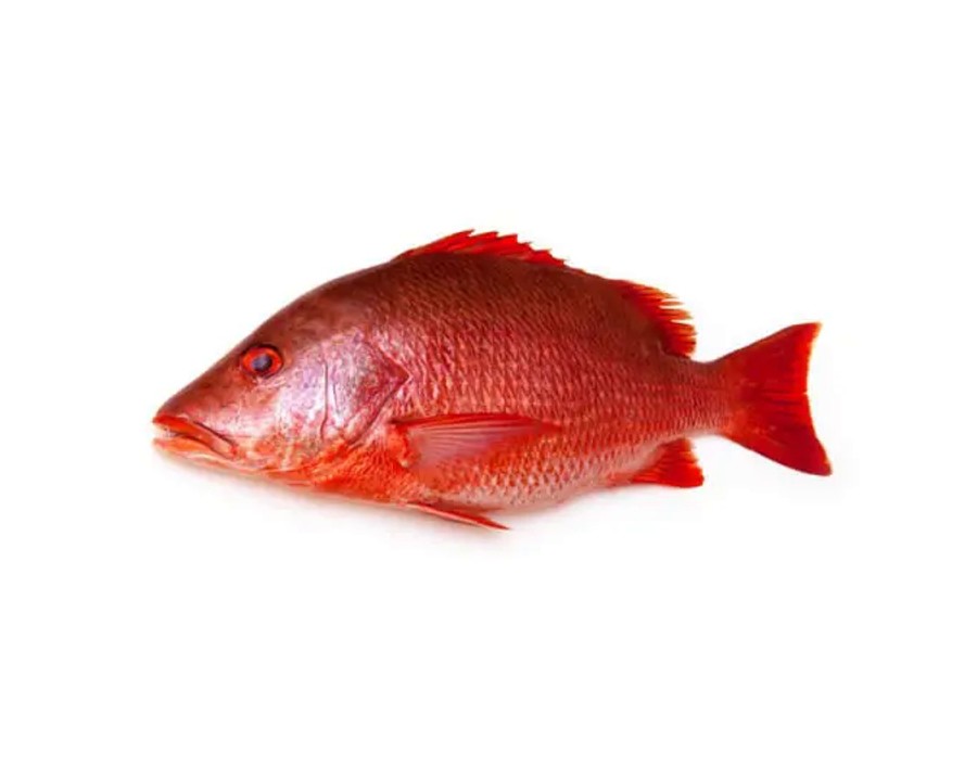 POISSON VIVANEAU 1000/2000 (A LA PESEE) ****