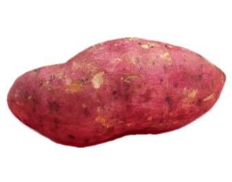 PATATE DOUCE PEAU ROSE (A LA PESEE)