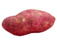 PATATE DOUCE PEAU ROSE (A LA PESEE)