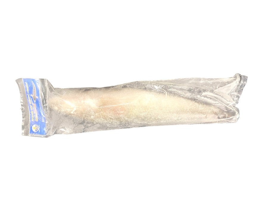 POISSON TETE DE SERPENT (A LA PESEE) ****