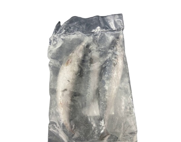 POISSON MAQUEREAU ENTIER 3-4 P.  ****