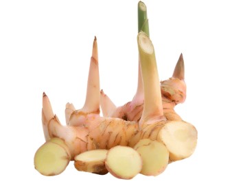 GALANGA (A LA PESEE )