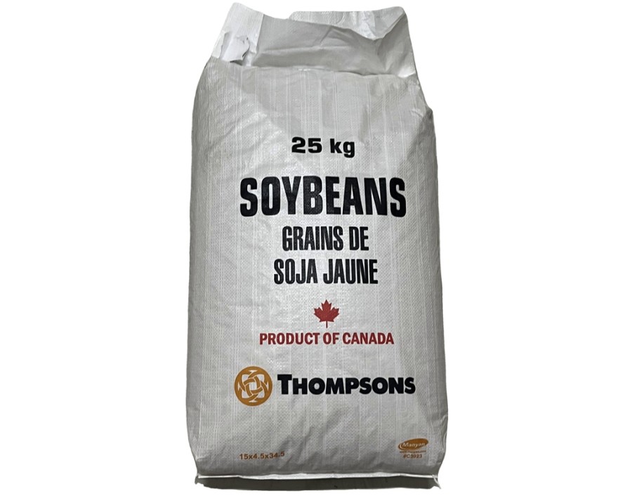 GRAINE DE SOJA JAUNE ENTIER