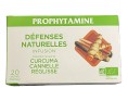 INFUSION DEFENSES NATURELLES  BIO 20 P.