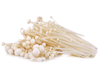 CHAMPIGNON ENOKI