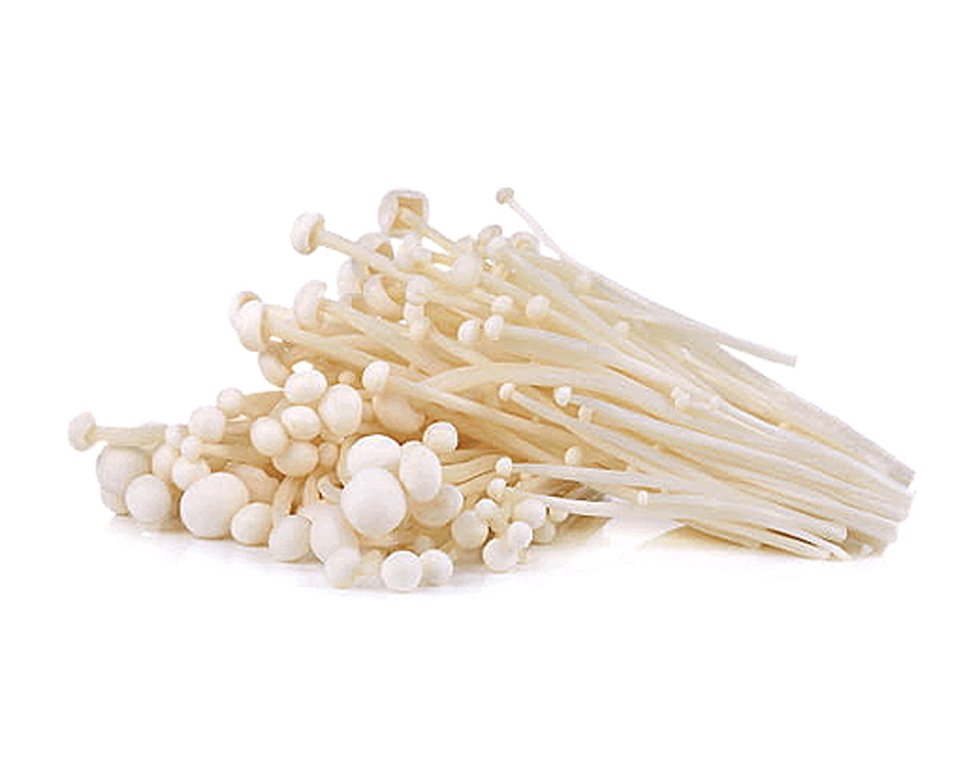 CHAMPIGNON ENOKI