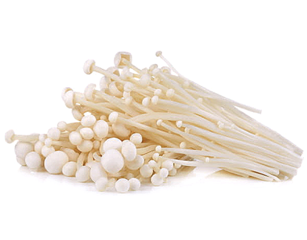 CHAMPIGNON ENOKI