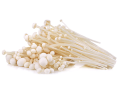 CHAMPIGNON ENOKI