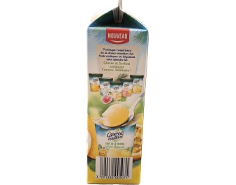 NECTAR FRUIT DE LA PASSION