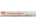 CHAMPIGNON BLANC