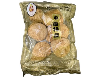 CHAMPIGNON HERICIUM ERINALEUS