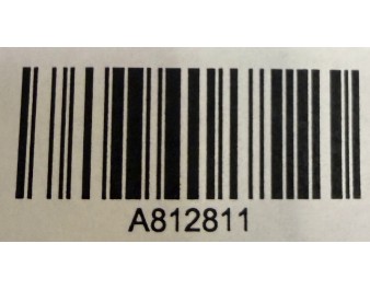 CHAMPIGNON NOIR PETIT