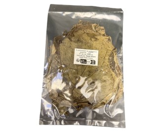 FEUILLE DE BETEL SECHEE