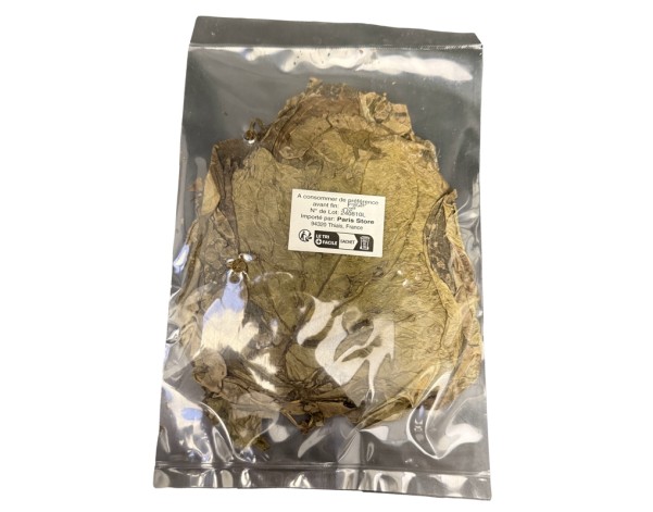 FEUILLE DE BETEL SECHEE