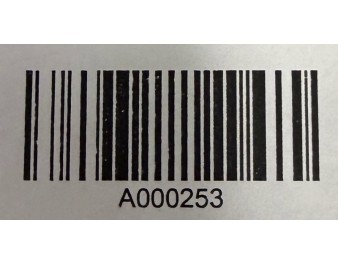 RIZ SURINAM GRAINS LONGS