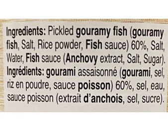 POISSON MURENE ROTIE