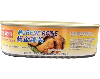 POISSON MURENE ROTIE