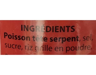 POISSON TETE DE SERPENT