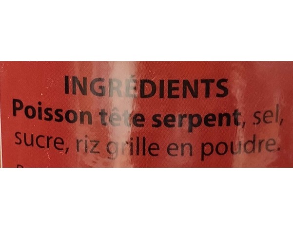 POISSON TETE DE SERPENT