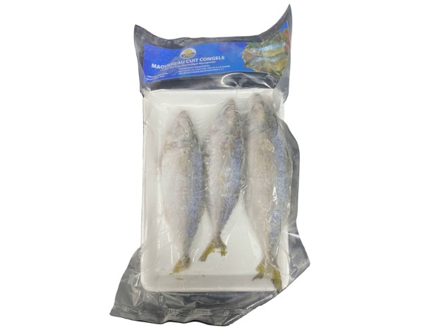 POISSON MAQUEREAU ESPAGNOL 3 P. ****