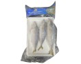 POISSON MAQUEREAU ESPAGNOL 3 P. ****