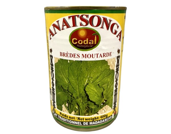 ANATSONGA