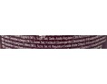 AUBERGINE GRILLE