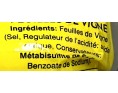 FEUILLE DE VIGNE