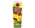 NECTAR A LA MANGUE