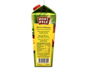NECTAR A LA MANGUE