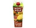 NECTAR AU COCKTAIL DE FRUITS