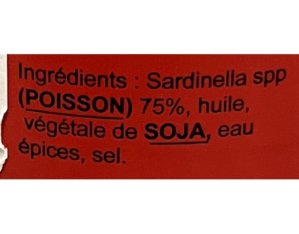 PATE DE SARDINELLE