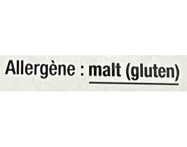 BIERE FLAG SPECIALE 5.20°