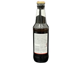 BIERE KINGFISHER 4.8°