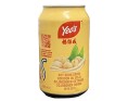 BOISSON AU SOJA